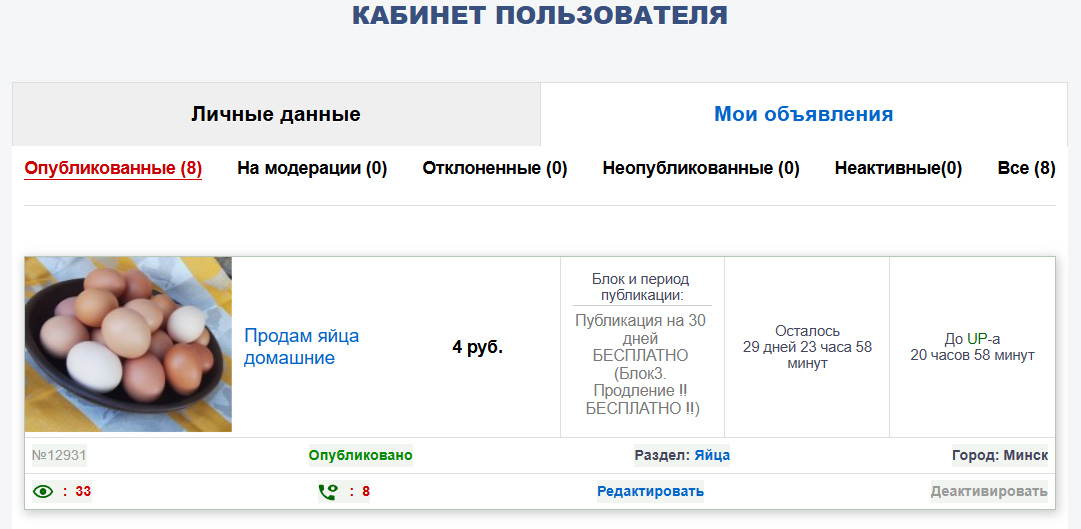 просмотр статистики на сайте beruki.by