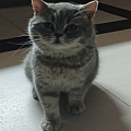 Логотип Сергей