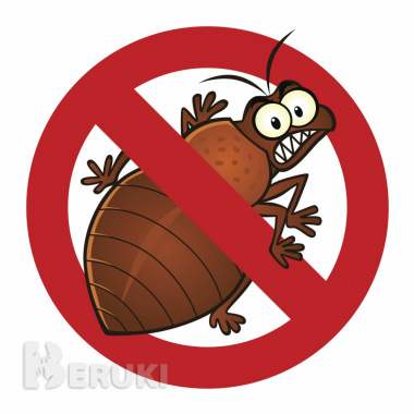 Уничтожение клопов, тараканов, блох