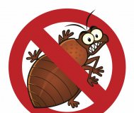 Уничтожение клопов, тараканов, блох