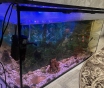 Аквариум 180 л