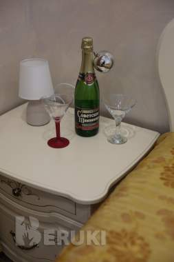 Сдаются мини-отель У Галины можно с завтраком 14