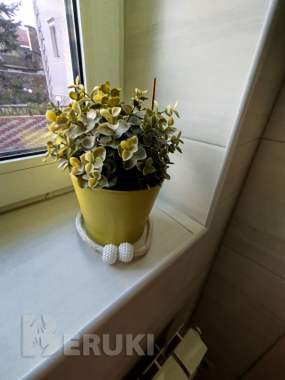 Сдаются мини-отель У Галины можно с завтраком 22