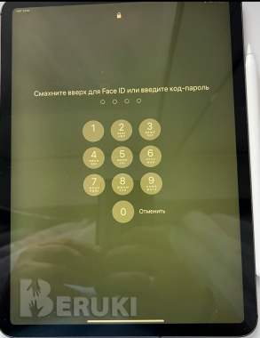 Apple ipad pro 11 (2019)+стилус 2 -го поколения 1