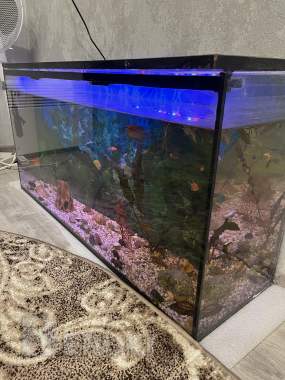 Аквариум 180 л 1