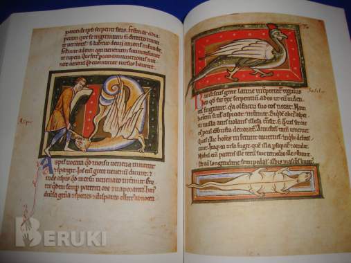 Исповедь книгочея 4