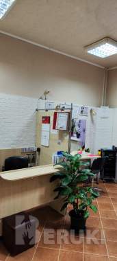 Действующая прибыльная парикмахерская. 1