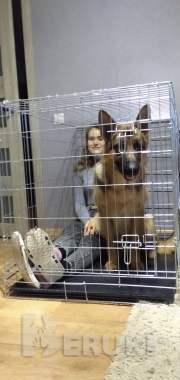 Продам клетку 2