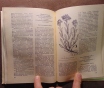 Заготовка дикорастущей продукции (пособие), издательство ураджай, 1977 год, 240с