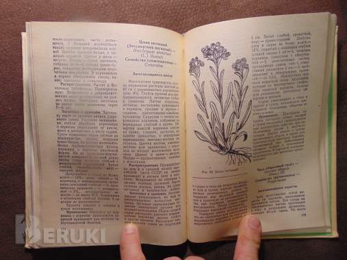 Заготовка дикорастущей продукции (пособие), издательство ураджай, 1977 год, 240с 4