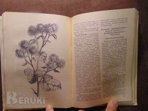 Заготовка дикорастущей продукции (пособие), издательство ураджай, 1977 год, 240с 5