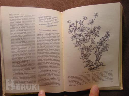 Заготовка дикорастущей продукции (пособие), издательство ураджай, 1977 год, 240с 6