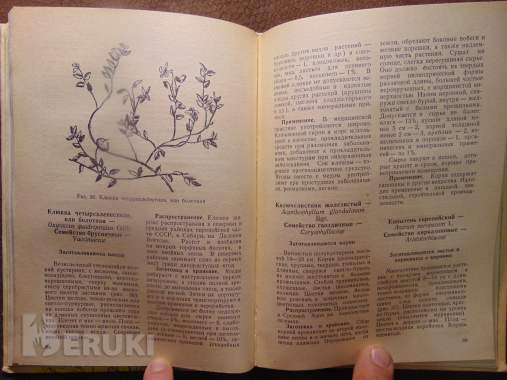Заготовка дикорастущей продукции (пособие), издательство ураджай, 1977 год, 240с 7