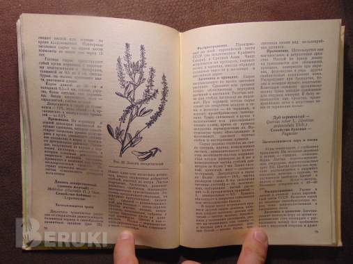 Заготовка дикорастущей продукции (пособие), издательство ураджай, 1977 год, 240с 8