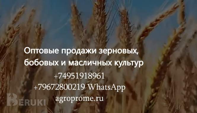 Ооо агропром - оптовая реализация продуктов питания экспорт