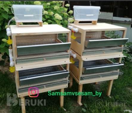 Клетка для перепелов 1