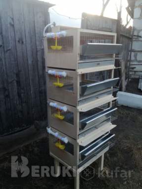 Клетка для перепелов 4