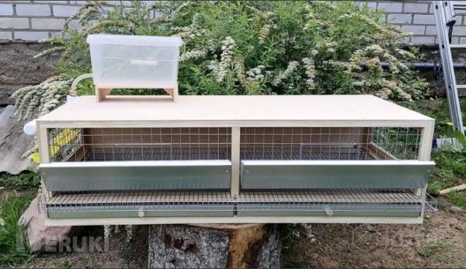 Клетка для перепелов 5