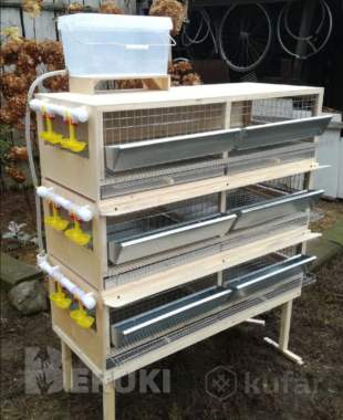 Клетка для перепелов 6