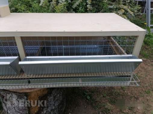 Клетка для перепелов 7