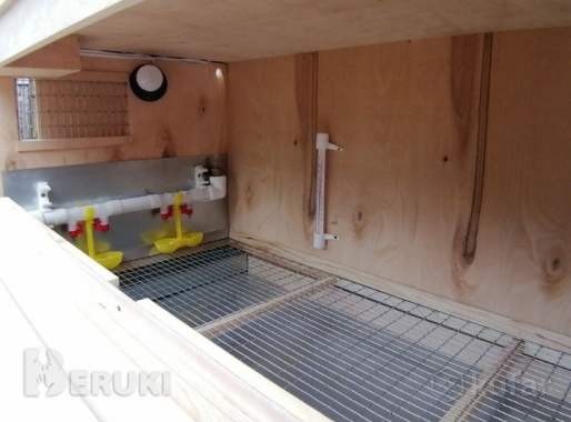 Брудер для цыплят, перепелят. 6