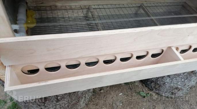 Брудер для цыплят, перепелят. 7