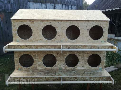 Гнезда для кур несушек. 0
