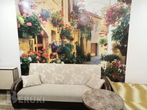 На сутки ,часы 1 комнатная квартира в центре бреста. 0