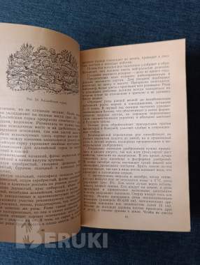 Книга. Домик на садовом участке. 3