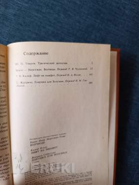 Книга. Ловушка для золушки 4