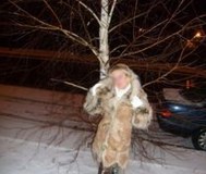 Дубленка стильная с толстым искусств. Мехом внутри, р. 44-46, б. У, очень теплая