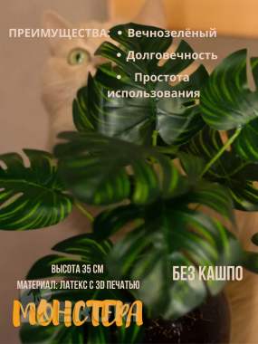 Услуги по инфографике 4