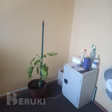 Распродажа офисной мебели 0