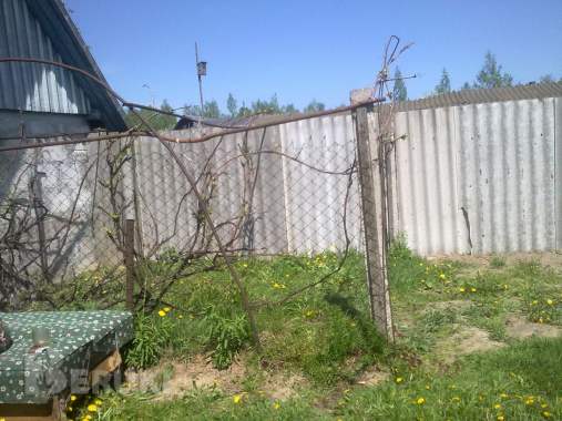 Срочно недорого 2