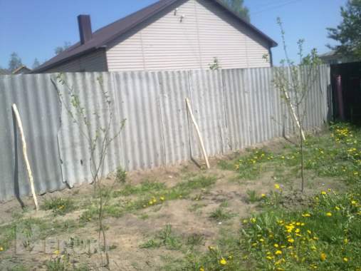 Срочно недорого 3