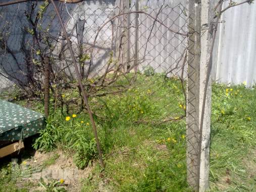 Срочно недорого 13