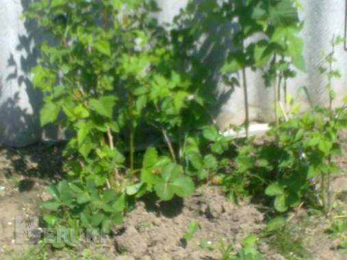 Срочно недорого 16