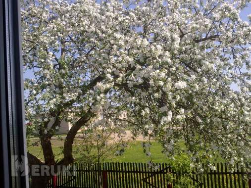 Срочно недорого 28