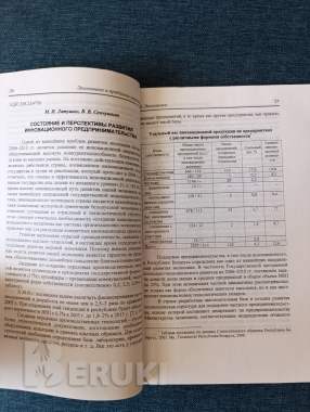 Книга. Экономика и проблемы управления 2