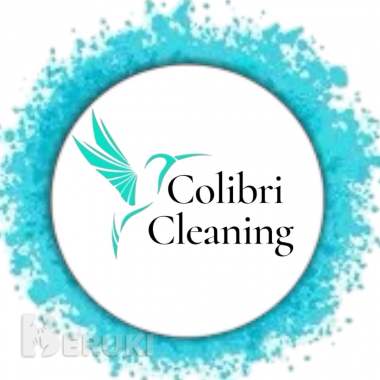 Профессиональные услуги клининга