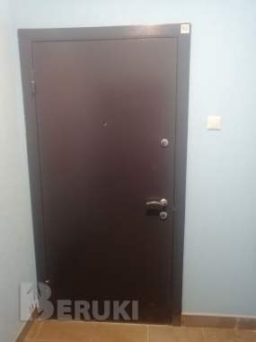 Двери входные 0