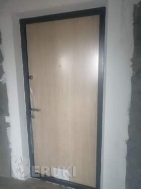 Двери входные 1