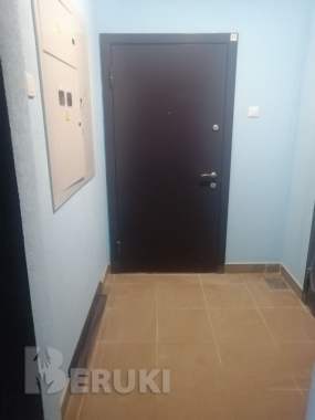 Двери входные 2