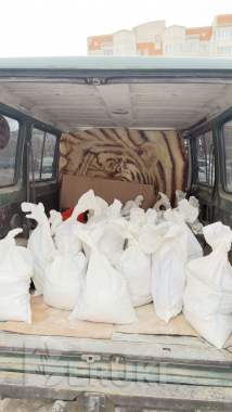 Грузим перевозим 6