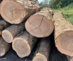 Пиломатериалы, кругляк из дуба, бука, ясеня.