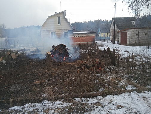 Расчистка участка вырубка деревьев 3