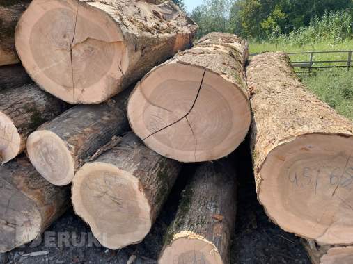 Пиломатериалы, кругляк из дуба, бука, ясеня. 4