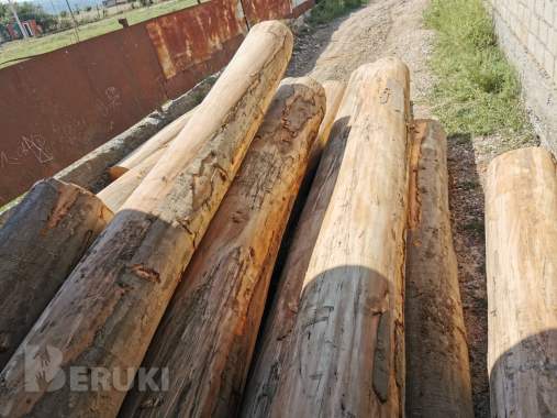 Пиломатериалы, кругляк из дуба, бука, ясеня. 5