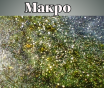 Мыло ручной работы с можжевельником