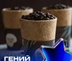 Продаются стаканчики съедобные для кофе